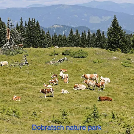 3landenpunt At-slo-it Bij De Piste Tatil Evi *