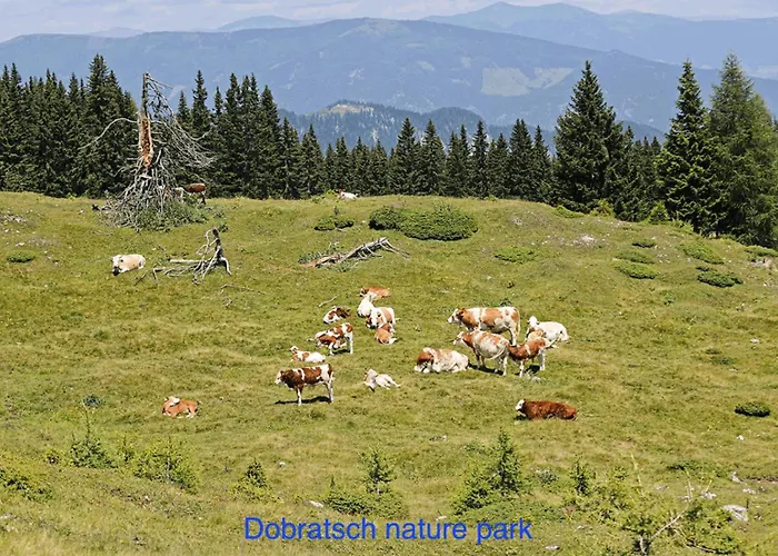 3landenpunt At-slo-it Bij De Piste Holiday home *